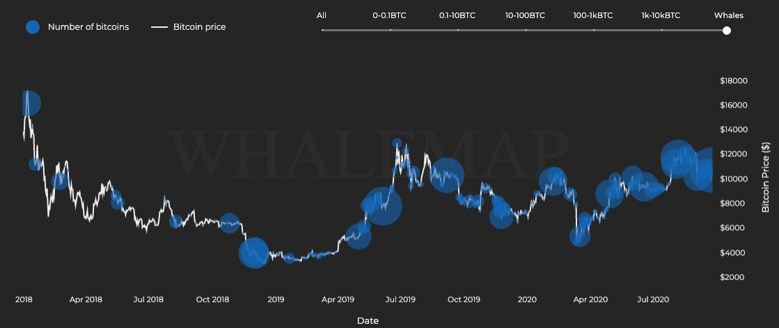 Are Bitcoin HODLers in for a shockwave?